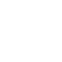 EBRAINS